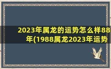 出生于1988年的人如何改善自己的2025年运势