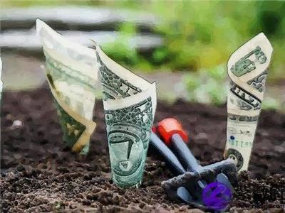 命中不缺福禄 事业一天比一天稳定收入总能增加的生肖