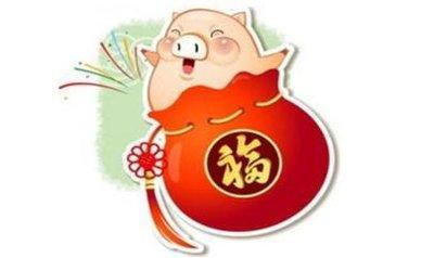 出生于1995年的属猪人2025年运势好吗