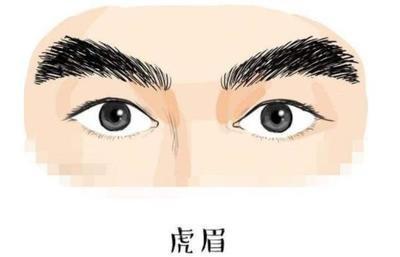 六害眉面相 面相中六害眉是怎样的