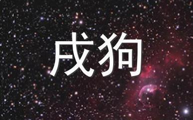 出生于58年的戌狗如何避免命犯太岁