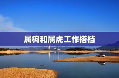 兔和虎合财吗 属虎的和什么属相合财