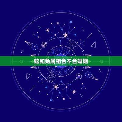 兔和蛇合不合(兔和蛇合不合适婚姻)
