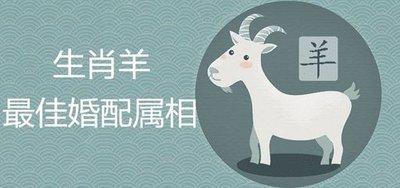 出生在91年的人生肖是什么 有着怎样的生肖婚配