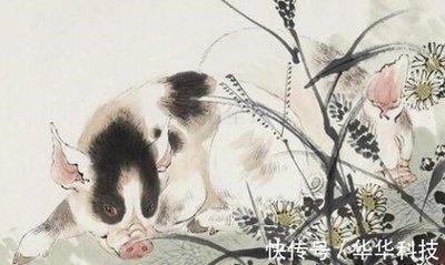 出身高贵什么生肖 哪几个生肖生来就高贵