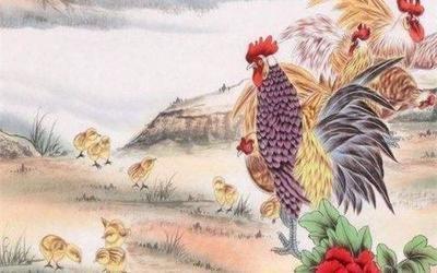和鸡合的生肖是什么 哪几个生肖与属鸡人配