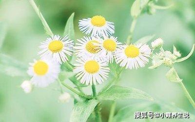 女人做生意成功面相了解几个 精明有想法