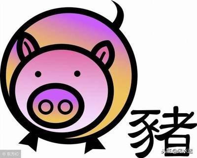 哪一年出生的属猪人在明年的运势最好