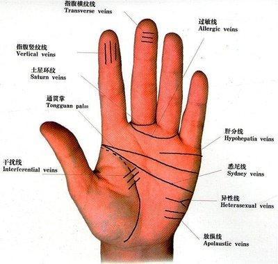 女人具有什么样的手相特征最好属于富贵命