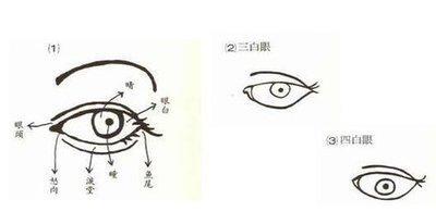 四白眼的面相属于小人面相吗 四白眼的人面相解析
