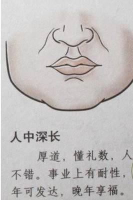 四种女人下巴面相图解 下巴面相解析全解