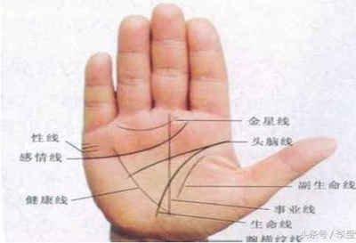 女人右手掌纹图解 看女人右手手相了解运势