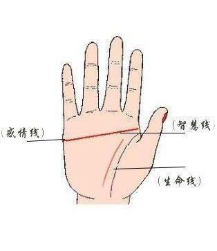 女人右手断掌是什么命运 右手断掌的女人会幸福吗 女人右手断掌是什么命运 右手断掌的女人会幸福吗