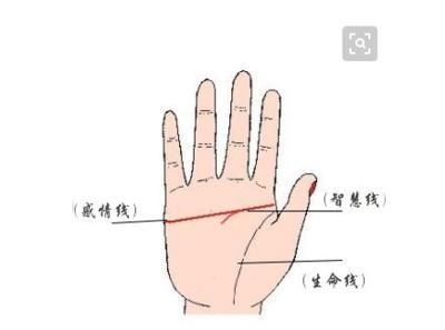 女人右手断掌纹的命运如何 右手断掌的女人命好吗