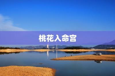 天喜星是什么意思(天喜星入夫妻宫是什么意思)