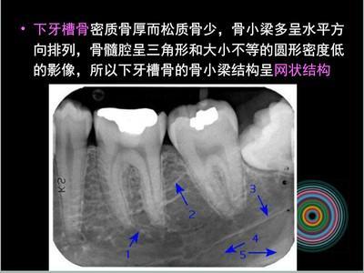 哪个星座最喜欢笑 总是笑容满面的人