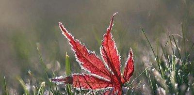 哪个星座最喜欢说人坏话 这些人人缘超级不好 哪个星座最喜欢说人坏话 这些人人缘超级不好