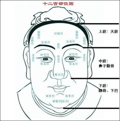 天庭饱满的面相怎么样 天庭饱满代表着什么