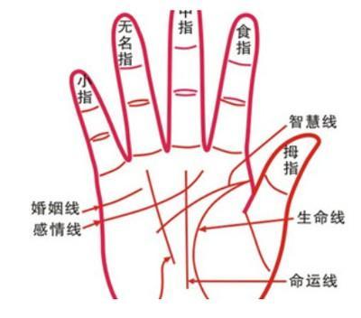 女人命运线图解大全 女人手相命运线分析
