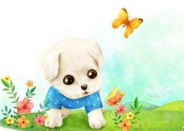 女属狗男属狗能生猪宝宝吗 2025年容易怀孕吗