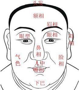 图解3种眼型面相 最常见眼型有哪几种