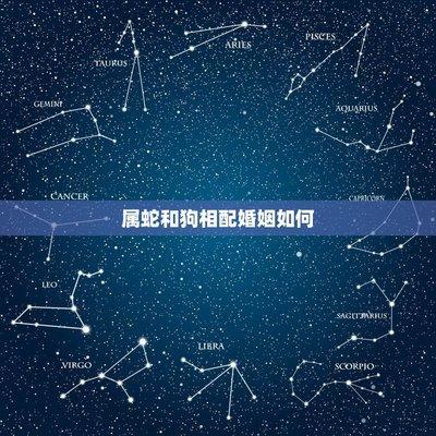 女属狗的和属猪的配吗 属狗女与谁最配对