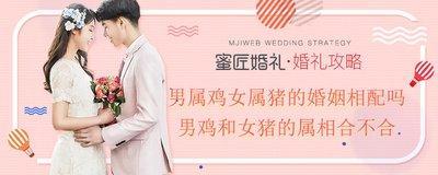 女属猪与什么属相最佳 最配属猪女的是哪几个生肖