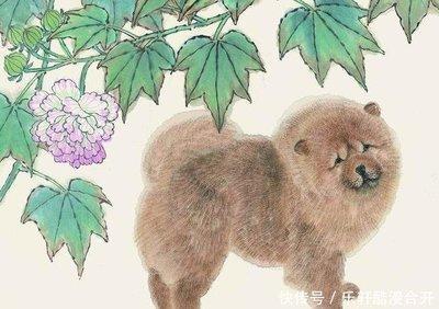 哪个生肖会和爱人白头到老 对爱人好的生肖是什么