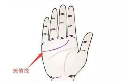 图解手相感情线代表的含义 手中感情线该怎么看