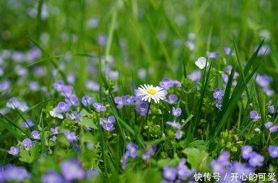 哪个生肖女最管得住男人 能管住老公的生肖女