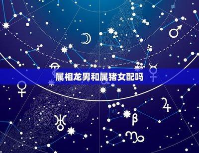 女属蛇跟什么生肖配 谁更适合属蛇女