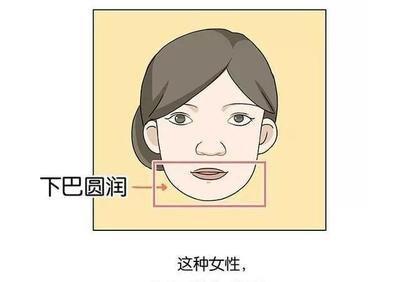 圆下巴的女人面相解析 女人的下巴圆代表有福气吗