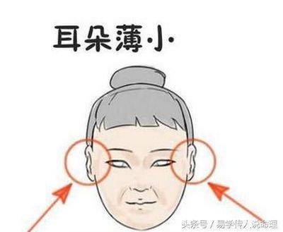 圆下巴面相 让你更加了解圆下的面相知识。