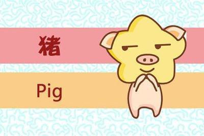 圆滑打一生肖 处事圆滑的生肖是哪些