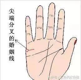 女人婚姻线分叉图解大全 女人手中婚姻线分叉好吗