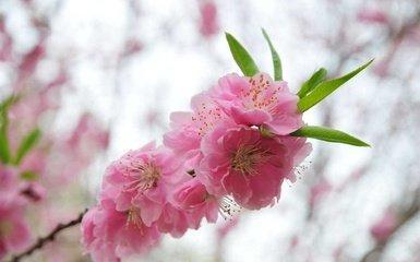 土字旁的字适合作为哪些孩子的名字