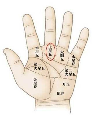 土星丘饱满的手相代表的寓意 土星丘饱满是什么意思