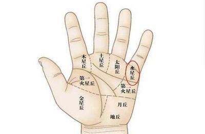 土星丘饱满的手相代表的寓意 土星丘饱满是什么意思