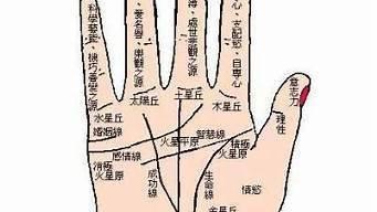 女人怎么看手相 女人什么样的手相好