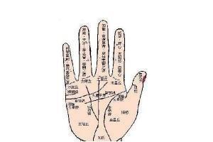 女人怎么看手相 女人手相与命运的关系