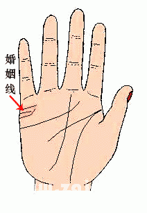 女人怎么看手相图解 女人的手相有哪些特征 女人怎么看手相图解 女人的手相有哪些特征