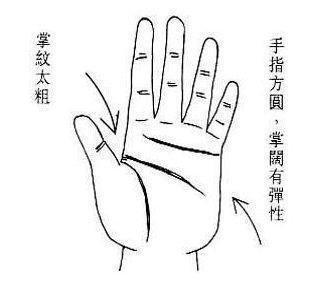 女人手掌厚代表什么 分析手掌厚女人的一生