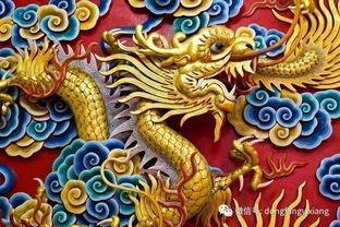 哪些年份是蛇年 蛇年出生的人运势如何