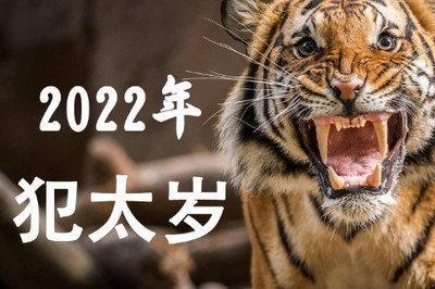 在与太岁相合的年份里 也并非事事顺心