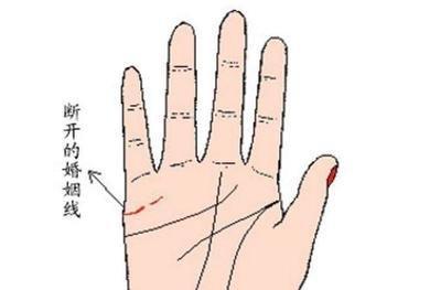 女人手相看婚姻线图解 女人手中的婚姻线是啥意思