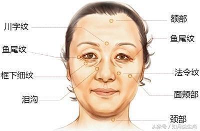 女性法令纹面相图解 法令纹面相分析命运发展