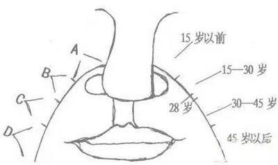 女性法令纹面相图解 法令纹面相分析命运发展