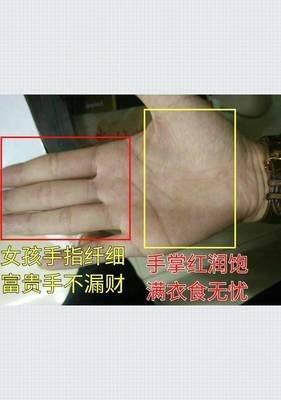 在事业方面能获得成功的手相有哪些特征事业有成