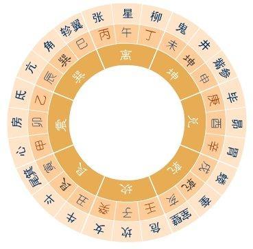 在五行中木代表什么(在五行中木代表什么行业)