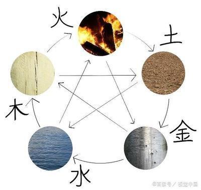 在五行中木代表什么(在五行中木代表什么行业)